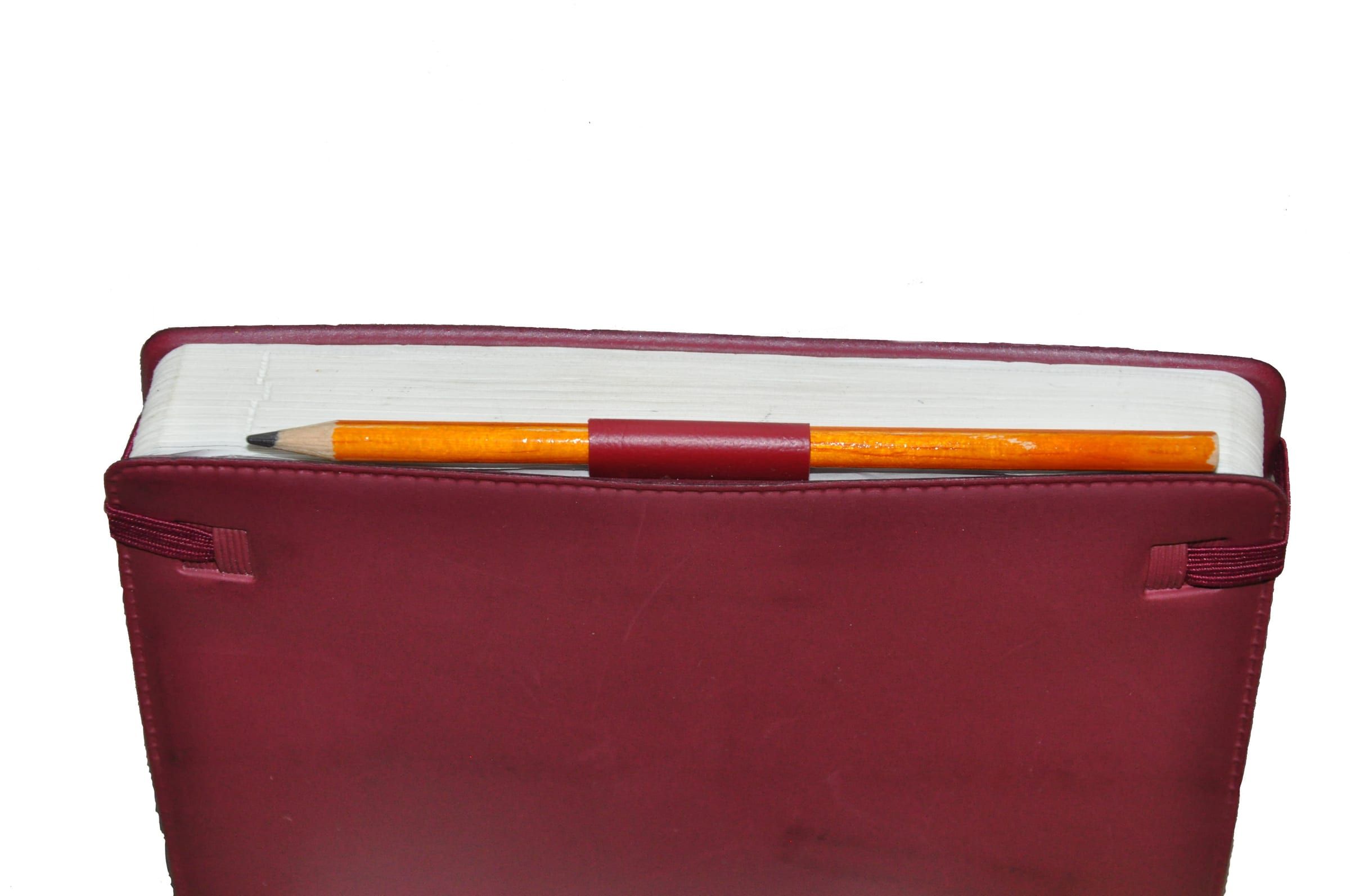 A closed red leather diary with an orange pencil slid under its strap, on a white background.